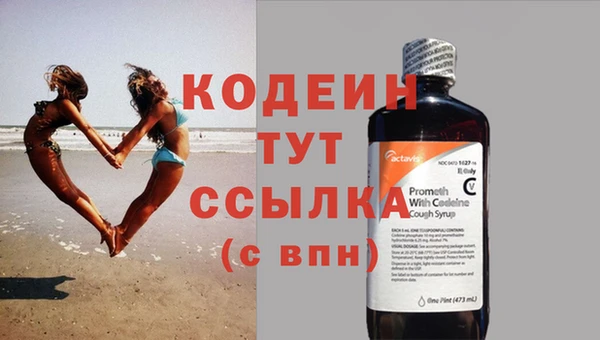 сатива Дмитров