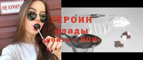 мдпв Дмитриев