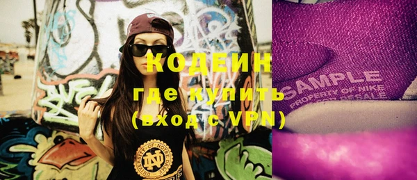 мдпв Дмитриев