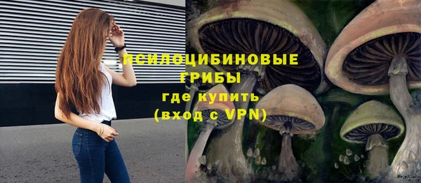 мдпв Дмитриев