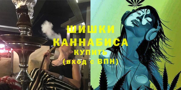 мдпв Дмитриев