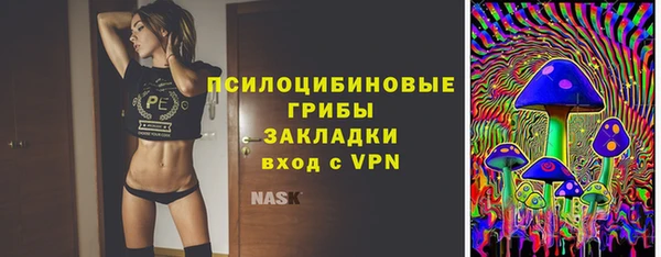 сатива Дмитров