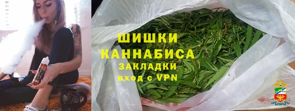сатива Дмитров